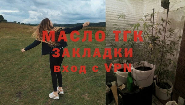 ПСИЛОЦИБИНОВЫЕ ГРИБЫ Верея