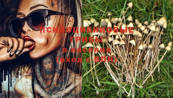 MDMA Premium VHQ Верхний Тагил