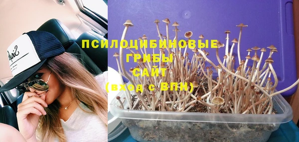 мдпв Верхнеуральск