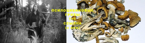 не бодяженный Бородино